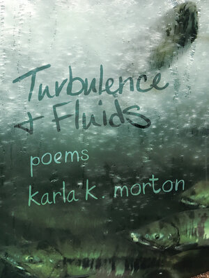 cover image of Turbulence & Fluids